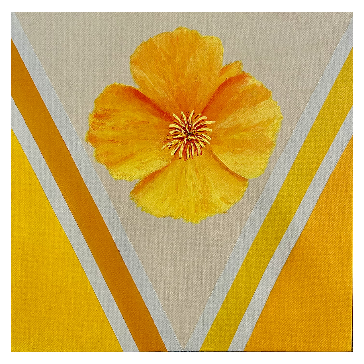 California Poppy Flower